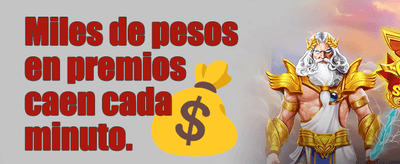 Premium Online Casino Experience
